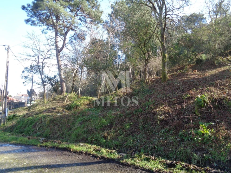 Terreno para Venda em Darque Foto 1