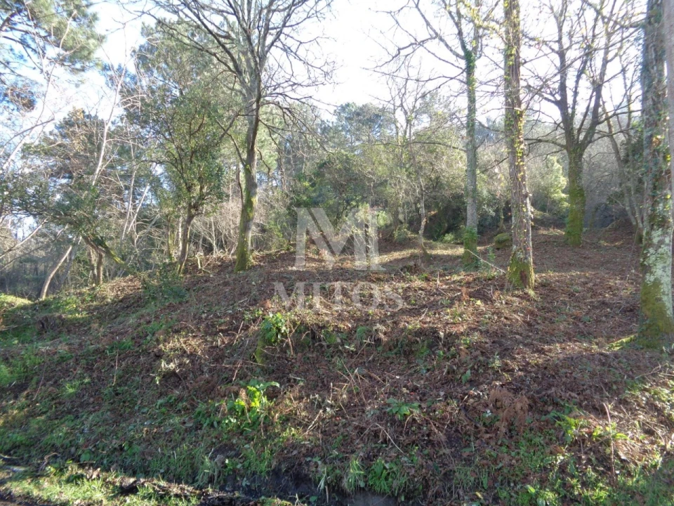 Terreno para Venda em Darque Foto 4