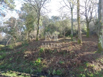 Terreno para Venda em Darque