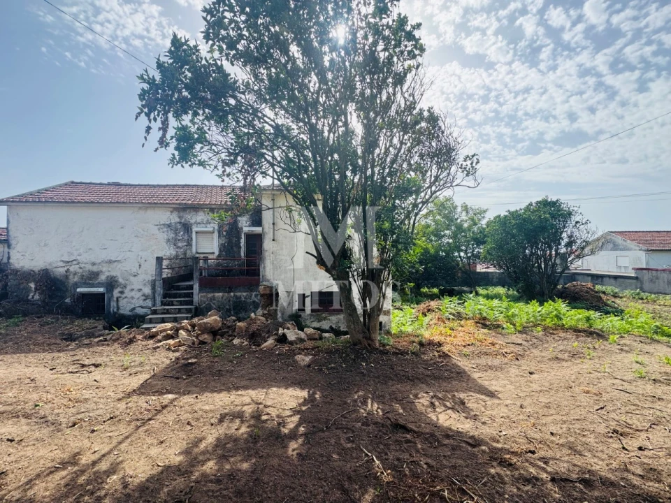 Terreno para Venda em Areosa Foto 4