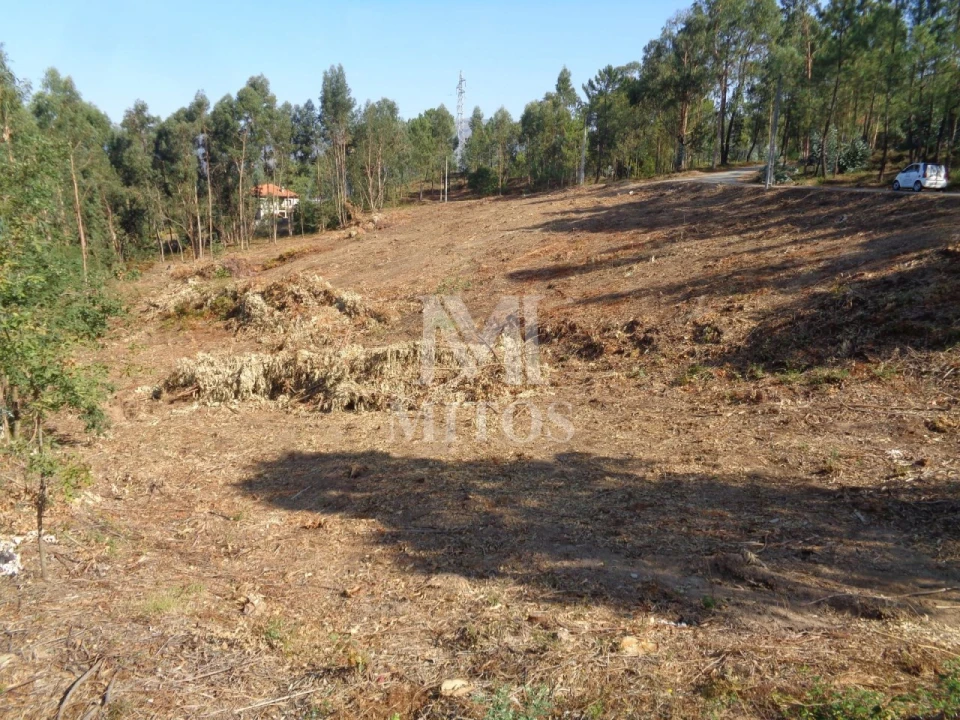 Terreno para Venda em Ribeira Foto 1