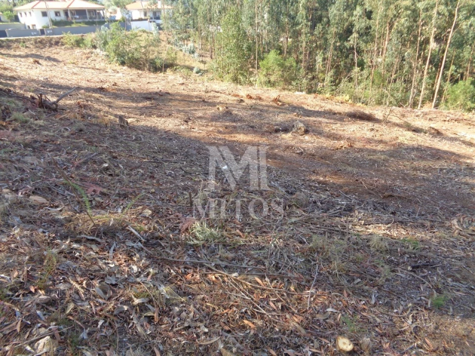 Terreno para Venda em Ribeira Foto 2