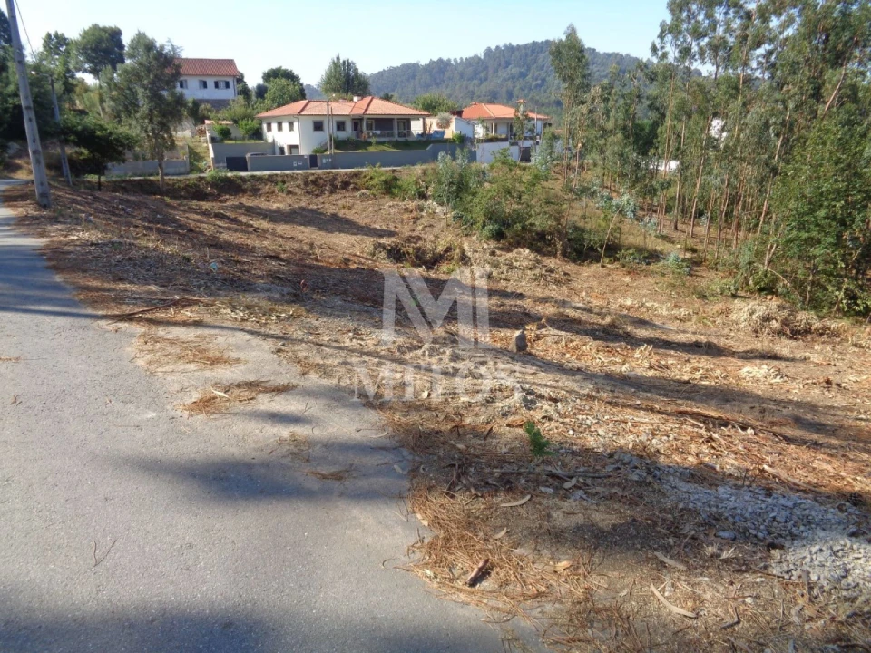 Terreno para Venda em Ribeira Foto 4