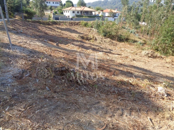 Terreno para Venda em Ribeira Foto 3