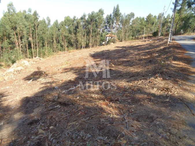 Terreno para Venda em Ribeira Foto 5