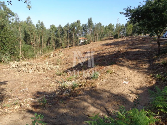 Terreno para Venda em Ribeira Foto 6