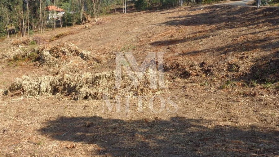 Terreno para Venda em Ribeira