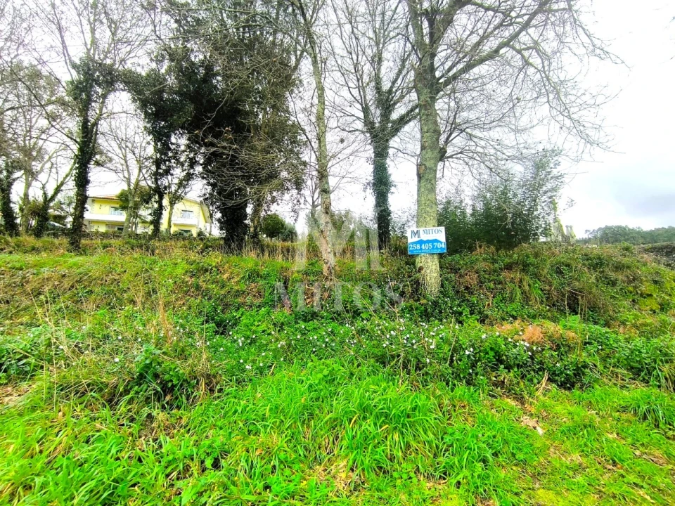 Terreno para Venda em Durrães e Tregosa Foto 4