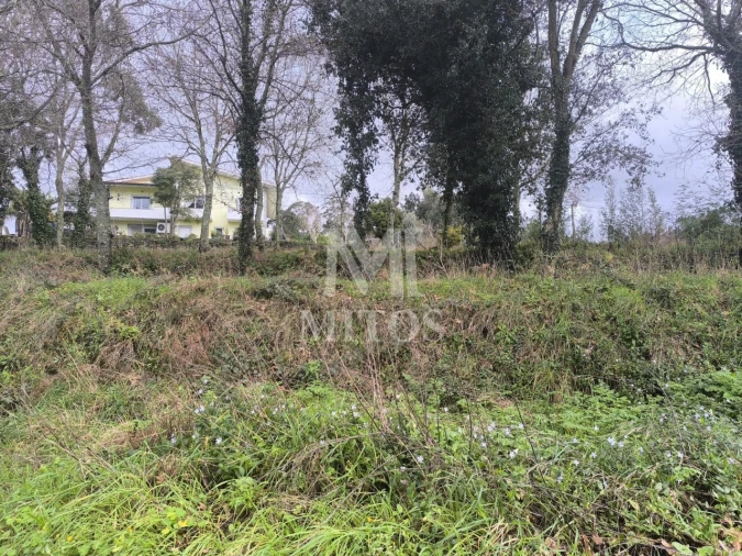 Terreno para Venda em Durrães e Tregosa Foto 6