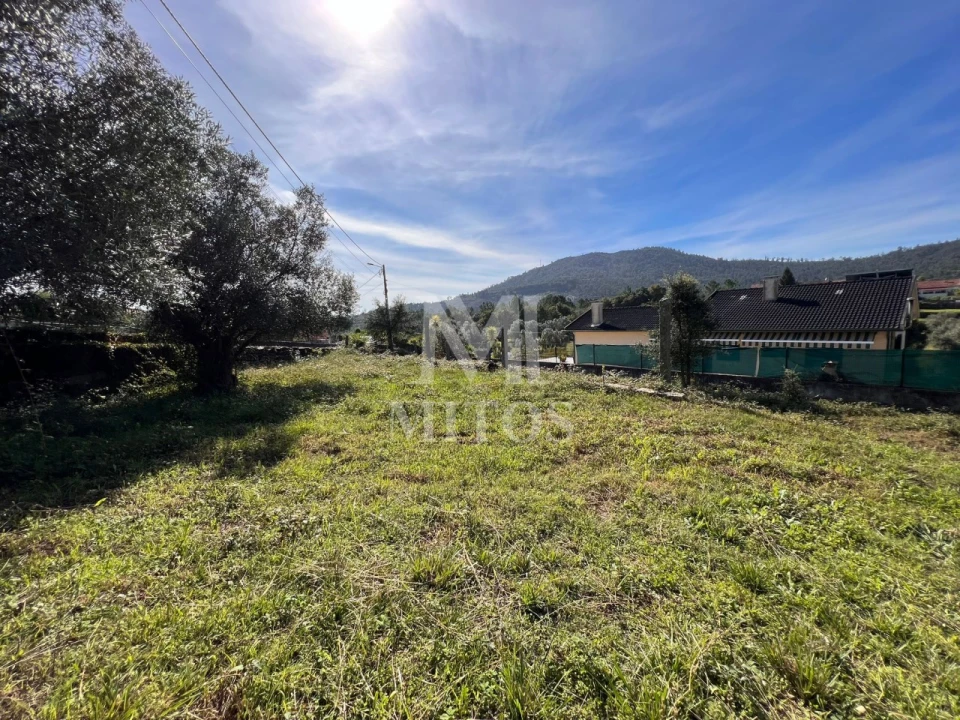 Terreno para Venda em Nogueira, Meixedo e Vilar de Murteda Foto 5