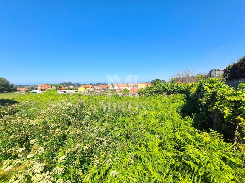 Terreno para Venda em Antas Foto 7
