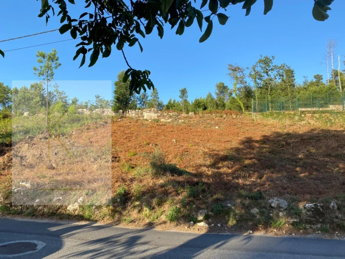 Terreno para Venda em Fontão Foto 13