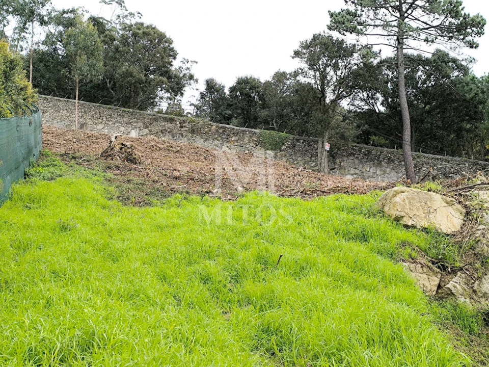 Terreno para Venda em Santa Maria Maior e Monserrate e Meadela Foto 1