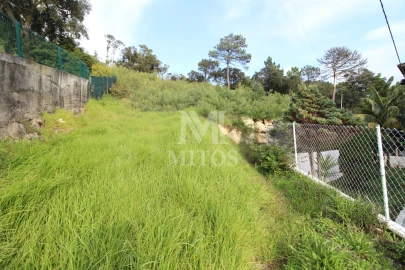 Terreno para Venda em Santa Maria Maior e Monserrate e Meadela