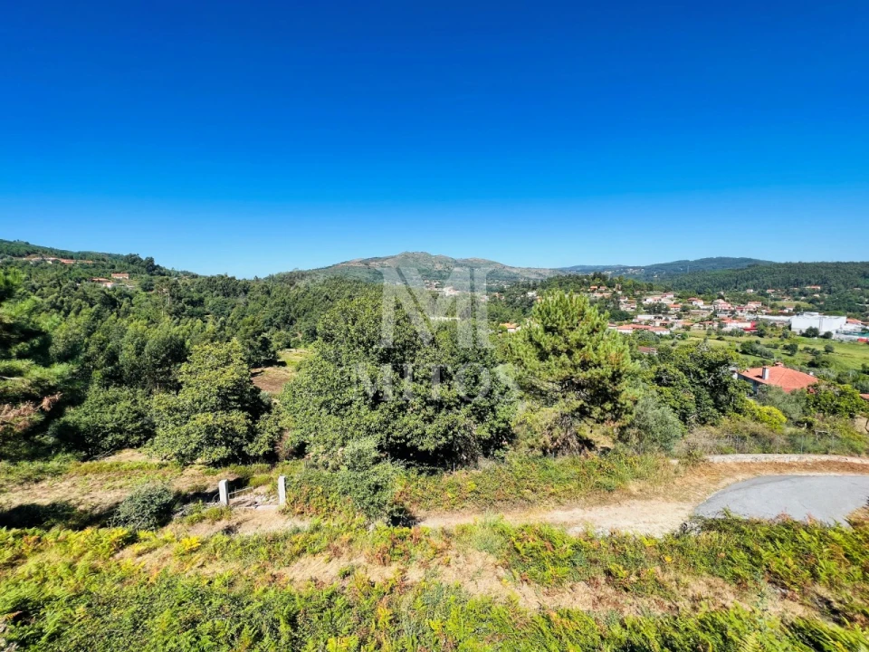 Terreno para Venda em Navió e Vitorino dos Piães Foto 1