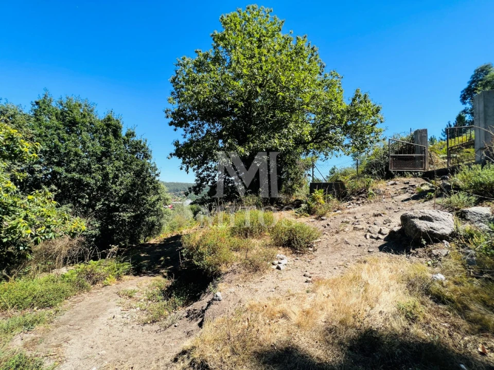 Terreno para Venda em Navió e Vitorino dos Piães Foto 2