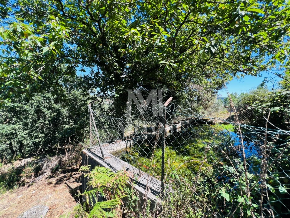 Terreno para Venda em Navió e Vitorino dos Piães Foto 3