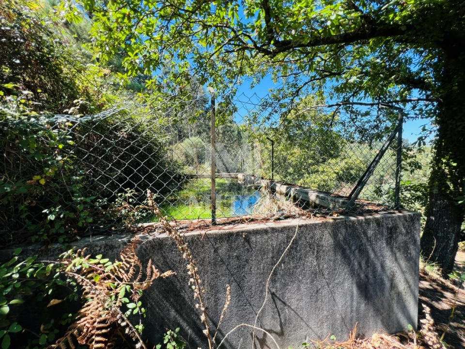 Terreno para Venda em Navió e Vitorino dos Piães Foto 4