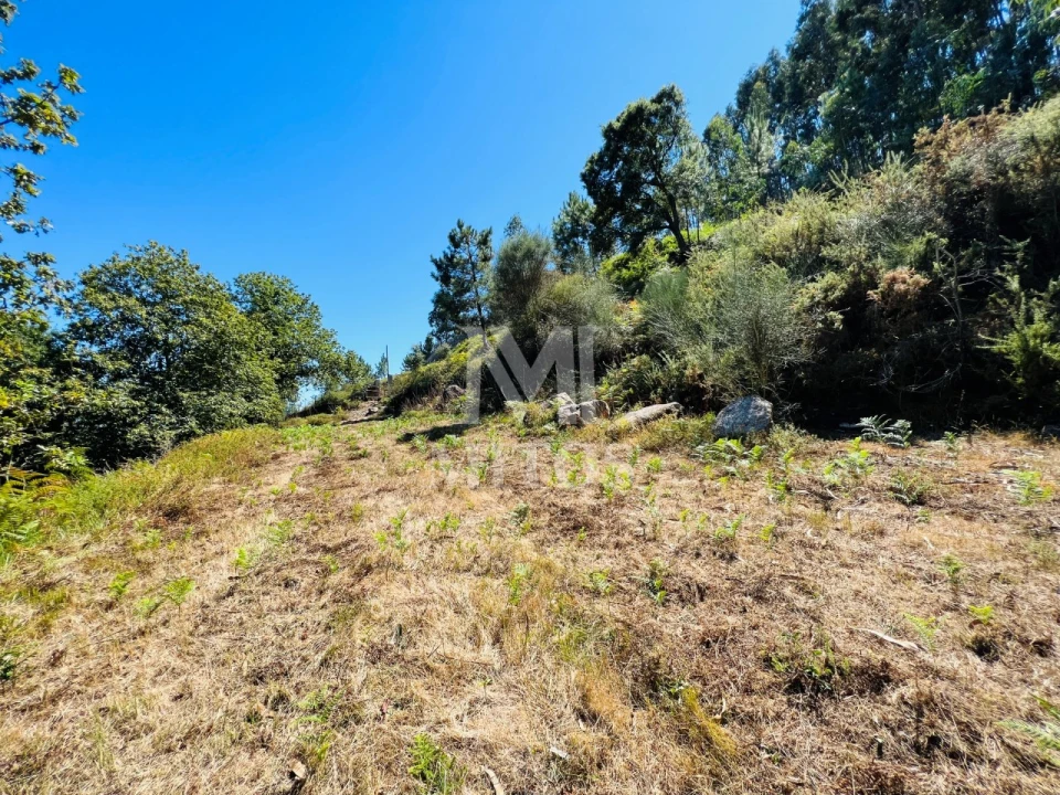 Terreno para Venda em Navió e Vitorino dos Piães Foto 6