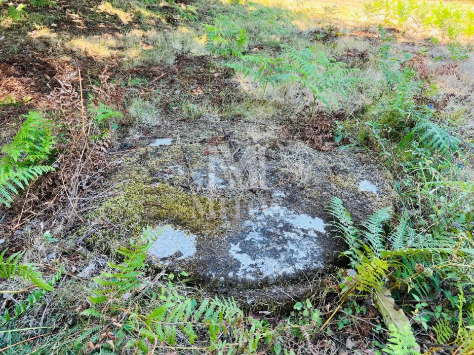 Terreno para Venda em Navió e Vitorino dos Piães Foto 8