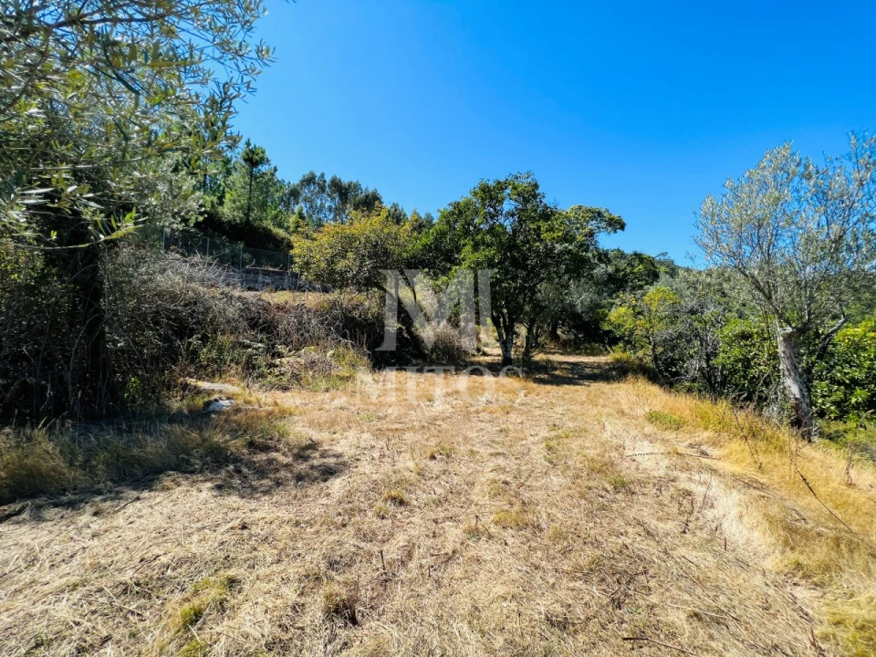 Terreno para Venda em Navió e Vitorino dos Piães Foto 10
