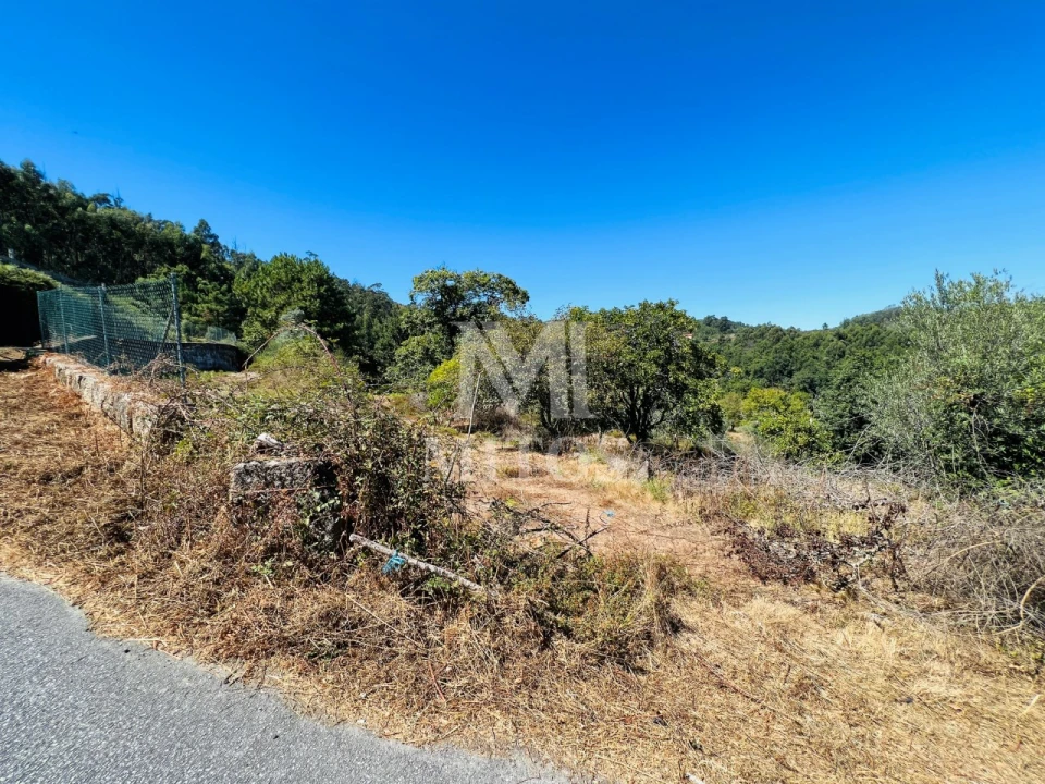 Terreno para Venda em Navió e Vitorino dos Piães Foto 13