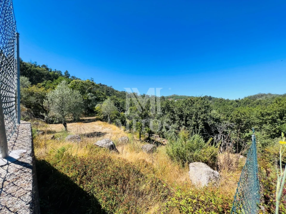 Terreno para Venda em Navió e Vitorino dos Piães Foto 14