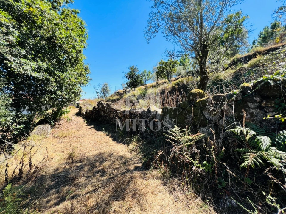 Terreno para Venda em Navió e Vitorino dos Piães Foto 16