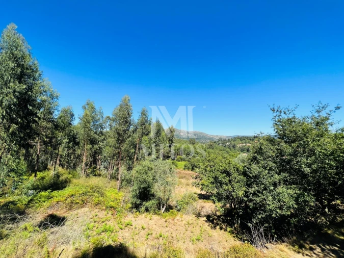 Terreno para Venda em Navió e Vitorino dos Piães Foto 5