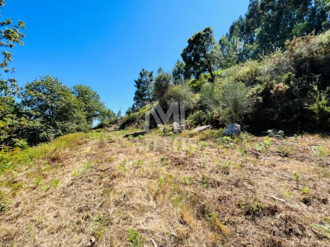 Terreno para Venda em Navió e Vitorino dos Piães Foto 6