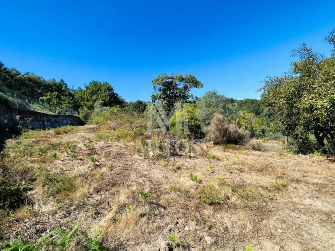 Terreno para Venda em Navió e Vitorino dos Piães Foto 11