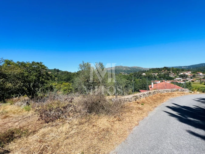 Terreno para Venda em Navió e Vitorino dos Piães Foto 12