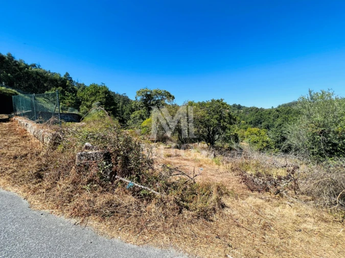 Terreno para Venda em Navió e Vitorino dos Piães Foto 13