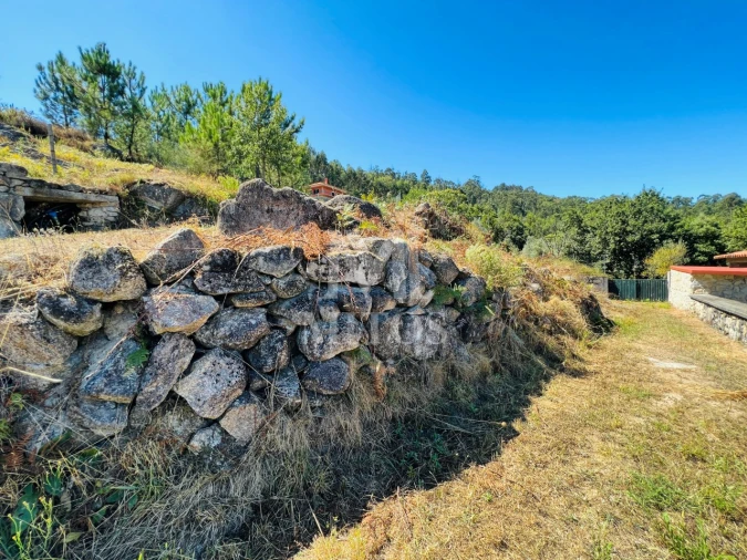 Terreno para Venda em Navió e Vitorino dos Piães Foto 15