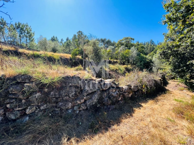 Terreno para Venda em Navió e Vitorino dos Piães Foto 17