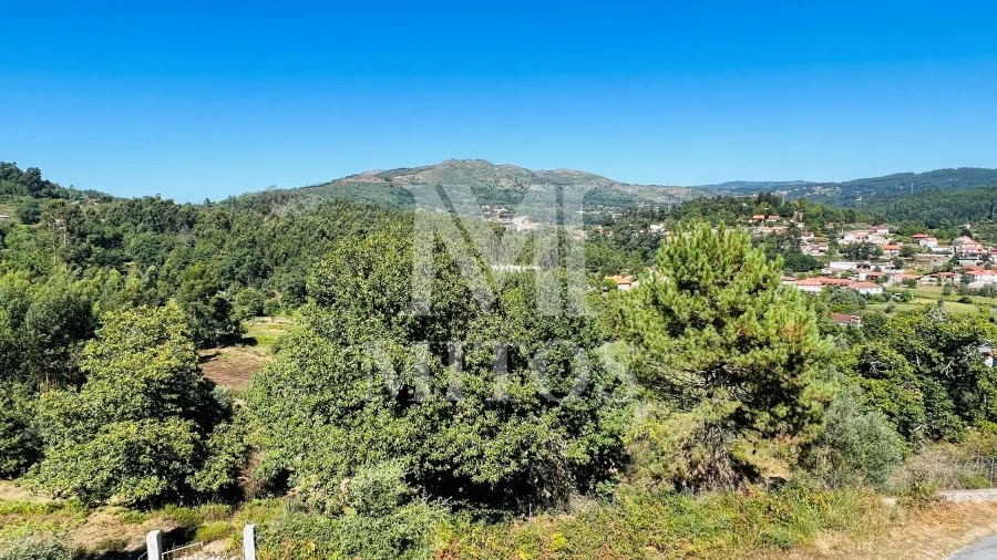 Terreno para Venda em Navió e Vitorino dos Piães