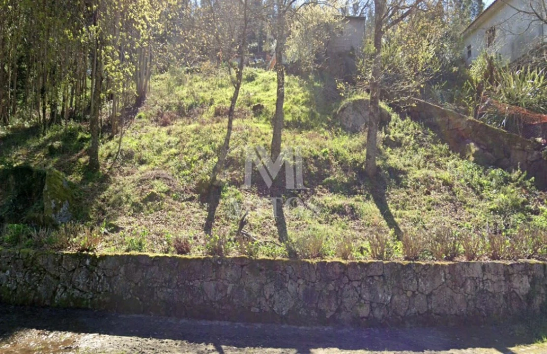Terreno para Venda em Subportela, Deocriste e Portela Susã Foto 5