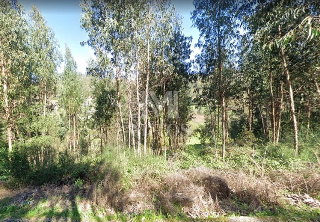 Terreno para Venda em Subportela, Deocriste e Portela Susã Foto 10