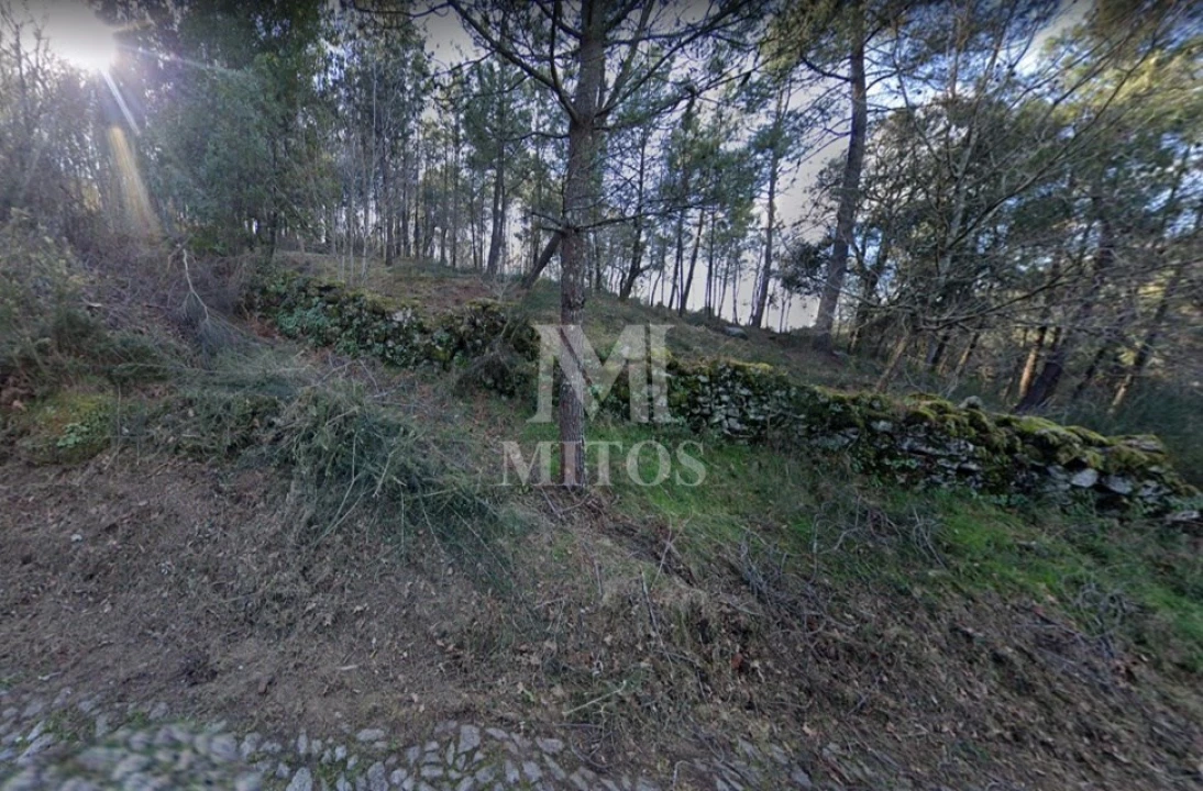 Terreno para Venda em Subportela, Deocriste e Portela Susã Foto 11
