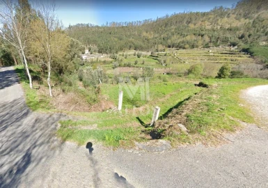 Terreno para Venda em Subportela, Deocriste e Portela Susã