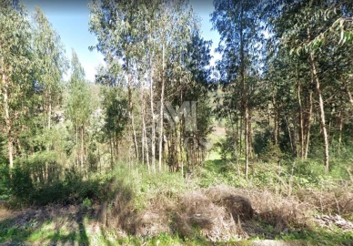 Terreno para Venda em Subportela, Deocriste e Portela Susã