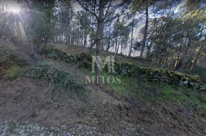 Terreno para Venda em Subportela, Deocriste e Portela Susã