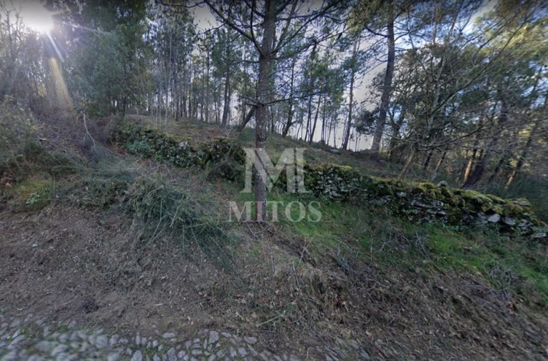 Terreno para Venda em Subportela, Deocriste e Portela Susã Foto 11