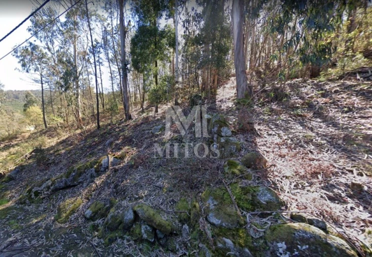 Terreno para Venda em Subportela, Deocriste e Portela Susã Foto 12