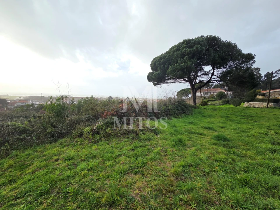 Terreno para Venda em Areosa Foto 1