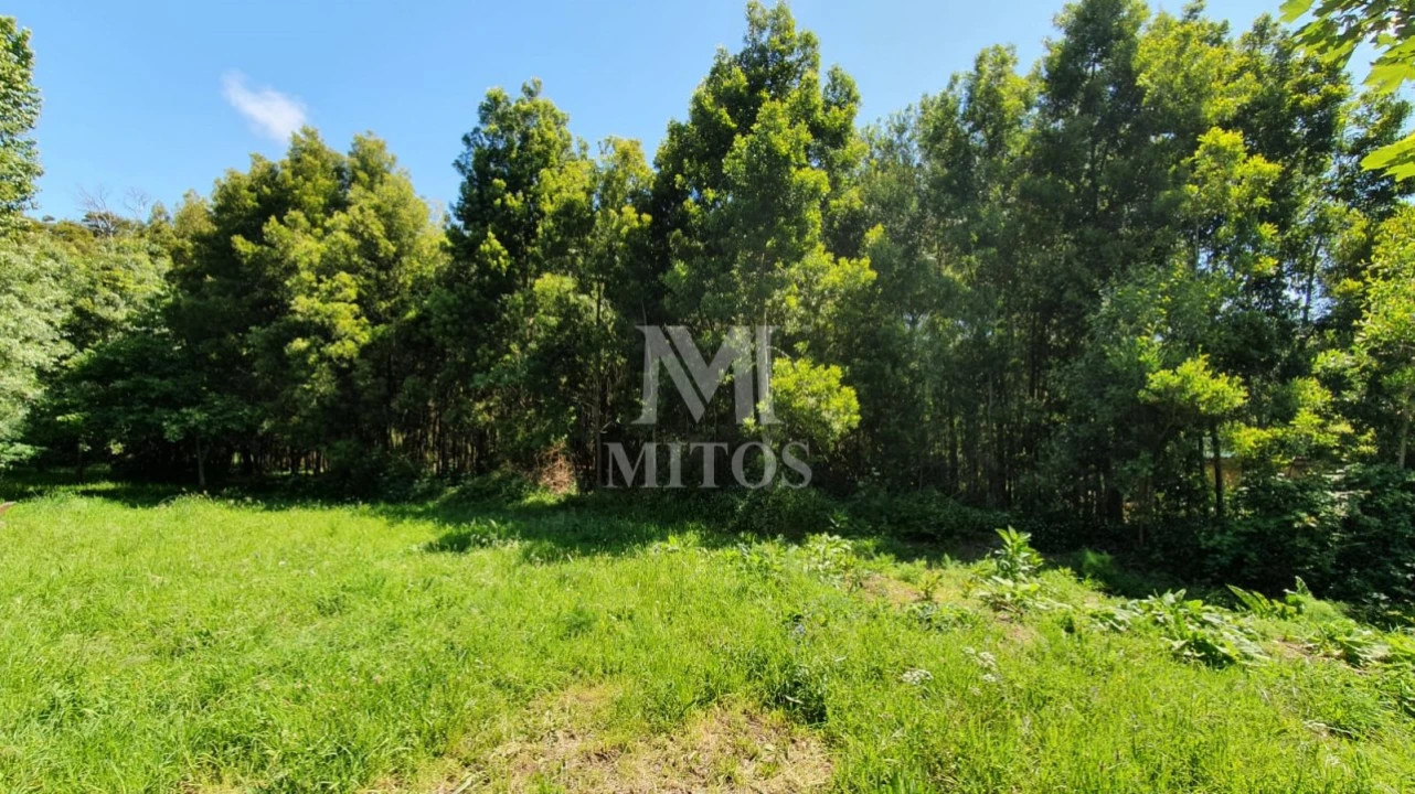 Terreno para Venda em Moledo e Cristelo Foto 4