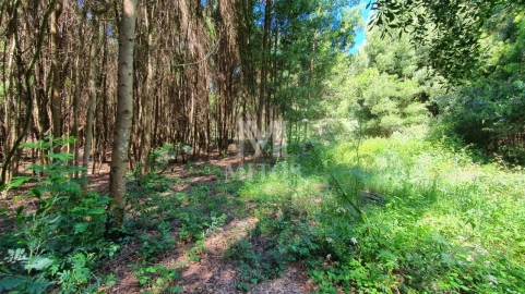 Terreno para Venda em Moledo e Cristelo