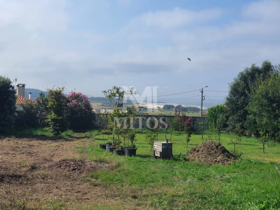 Terreno para Venda em Afife Foto 5