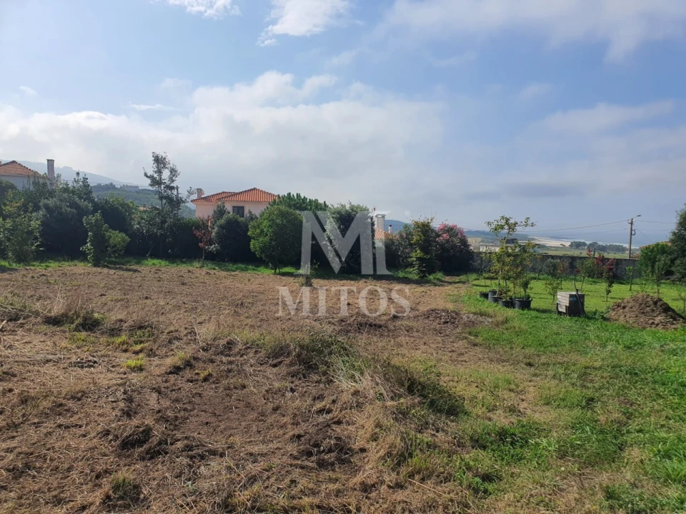 Terreno para Venda em Afife Foto 6