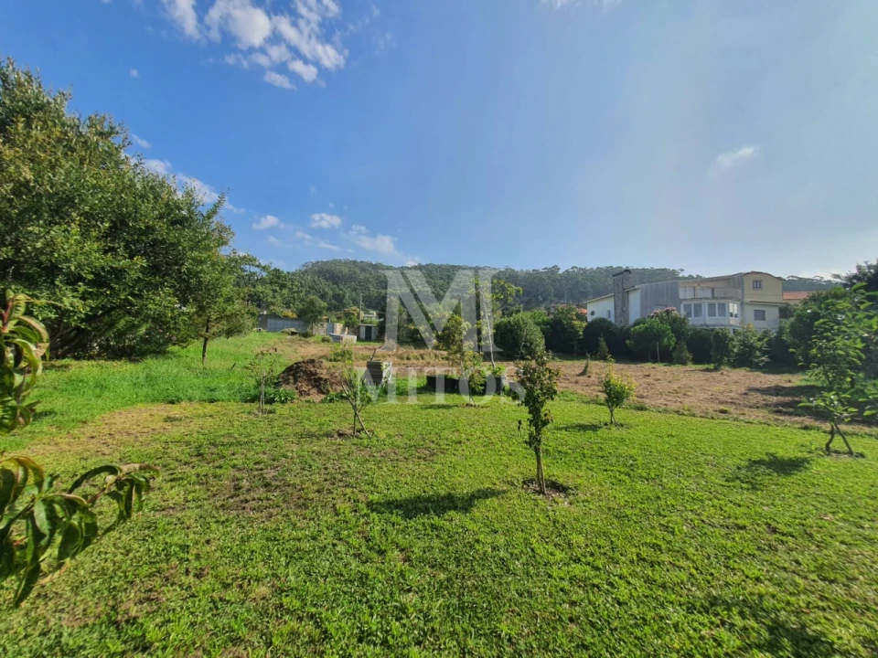 Terreno para Venda em Afife Foto 7
